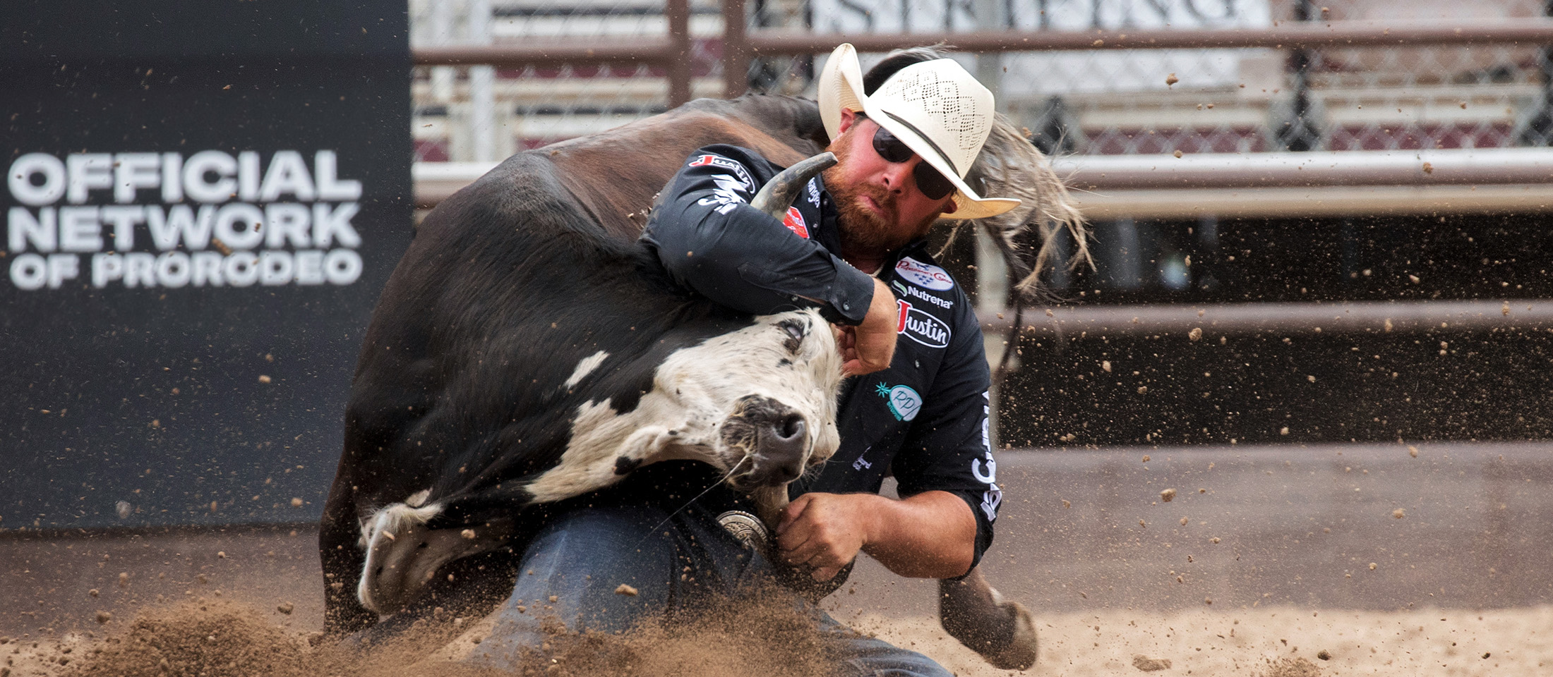 A cowboy wearing a cowboy hat, western shirt and jeans wrestling a steer in a rodeo. 